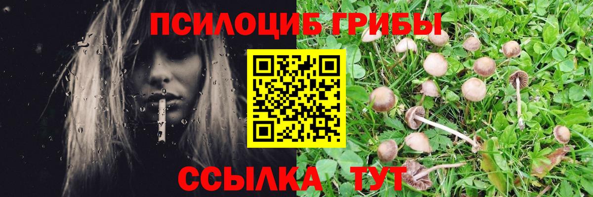 Псилоцибиновые грибы прущие грибы  как найти наркотики  Трёхгорный  Вход с VPN 